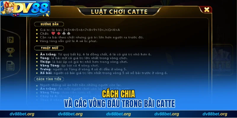 Cách chia và các vòng đấu trong bài Catte