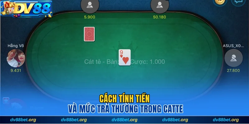 Cách tính tiền và mức trả thưởng trong Catte