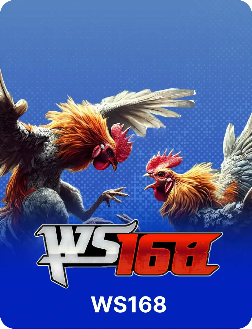 Đá gà Dv88