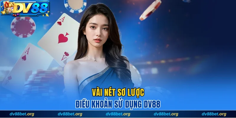 Vài nét sơ lược điều khoản sử dụng DV88